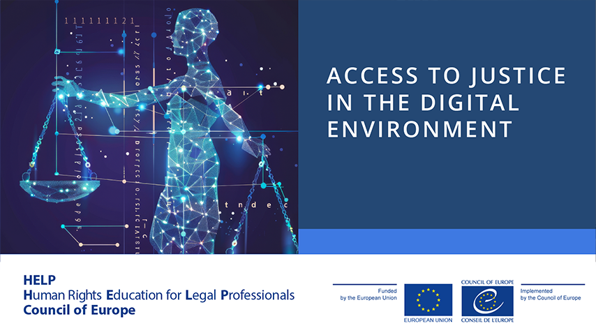 Access to Justice in the Digital Environment