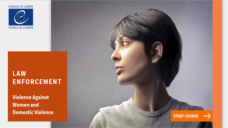 Violence against Women and Domestic Violence and Law Enforcement