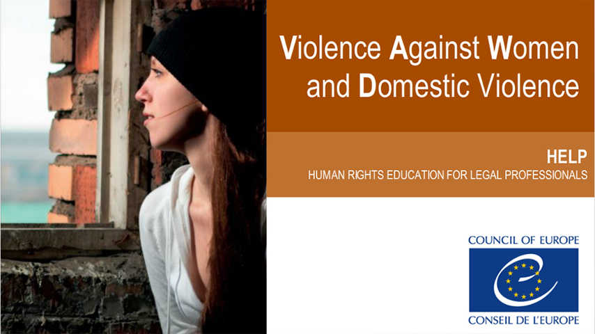 Violence against Women and Domestic Violence