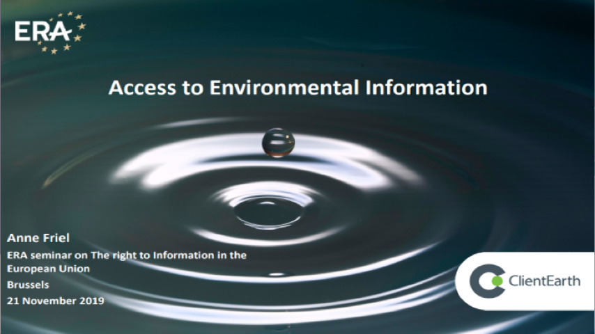 Access to Information in Environmental Matters